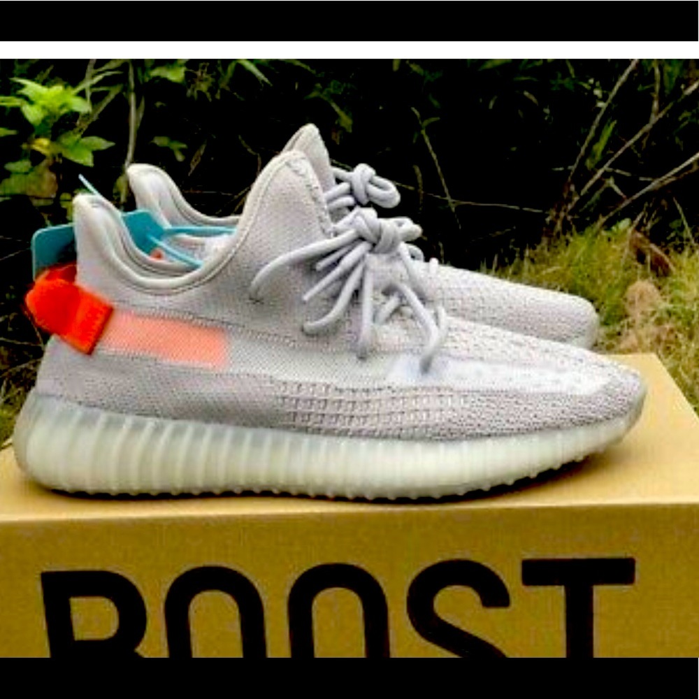 Yeezy boost 350